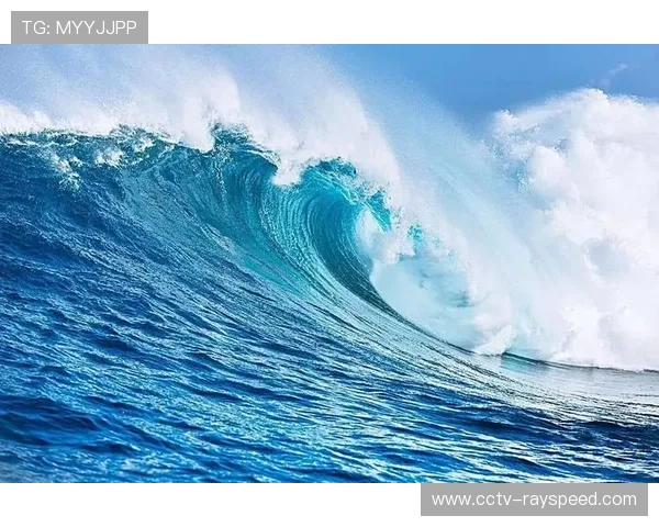 游泳题材纪录片《浪花之下》入围国际电影节，记录运动员成长